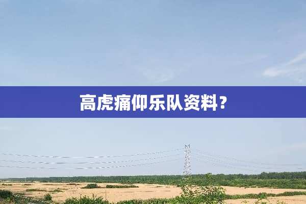 高虎痛仰乐队资料？