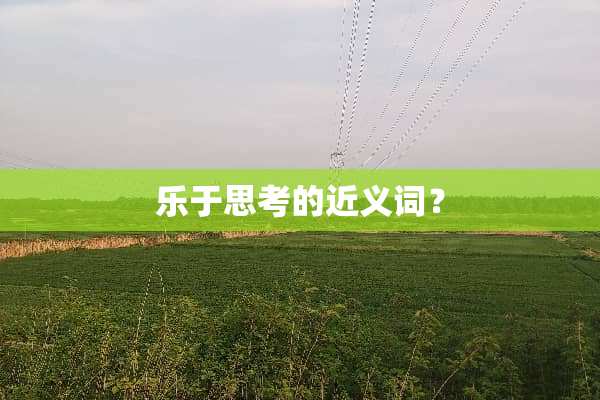 乐于思考的近义词？