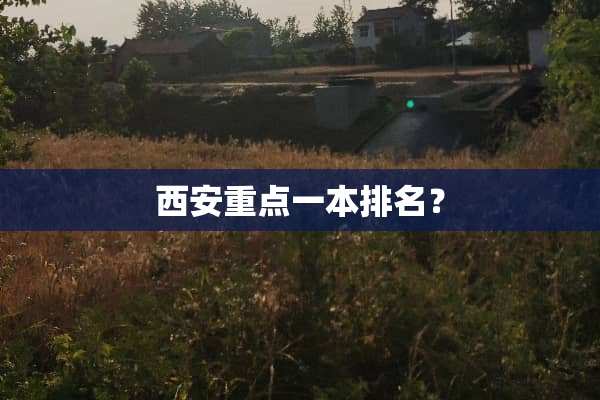 西安重点一本排名？