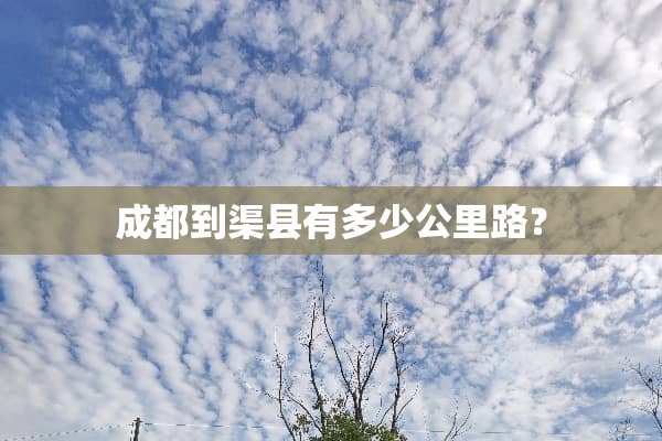 成都到渠县有多少公里路？