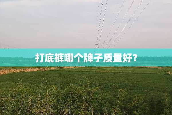 打**哪个牌子质量好？