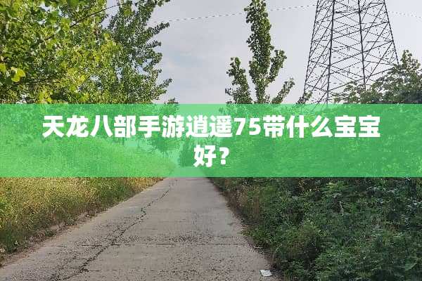 天龙八部手游逍遥75带什么宝宝好？