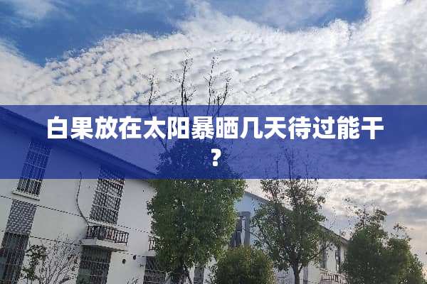 白果放在太阳暴晒几天待过能干？
