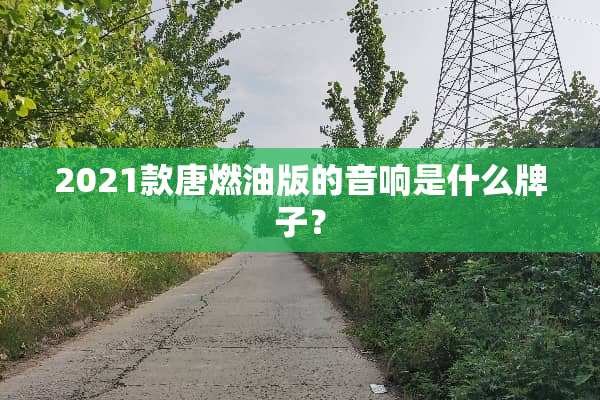 2021款唐燃油版的音响是什么牌子？