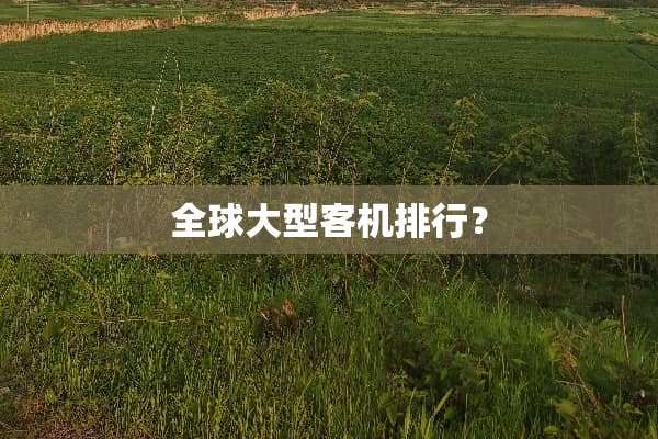 全球大型客机排行？