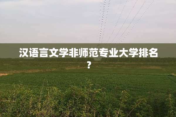 汉语言文学非师范专业大学排名？