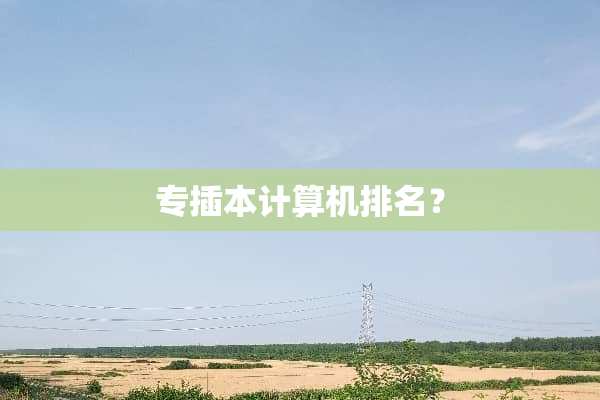 专插本计算机排名？