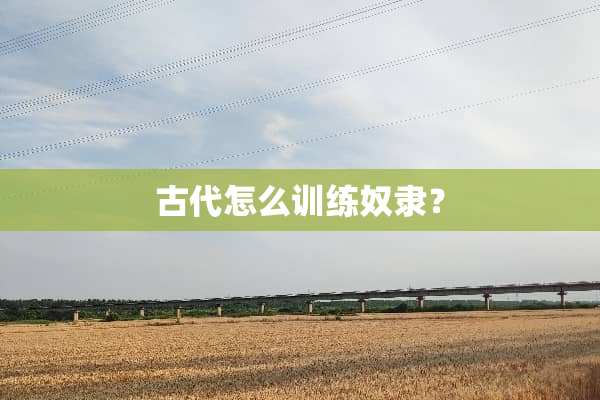 古代怎么训练*隶？