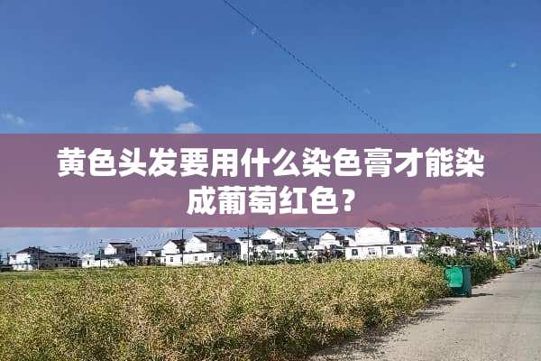 黄色头发要用什么染色膏才能染成葡萄红色？