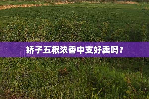 娇子五粮浓香中支好卖吗？