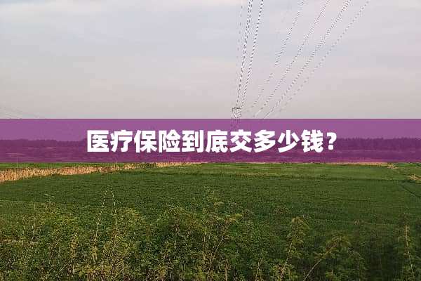 医疗保险到底交多少钱？
