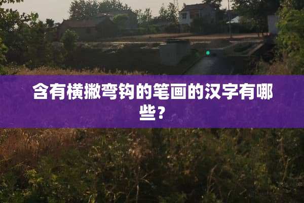 含有横撇弯钩的笔画的汉字有哪些？