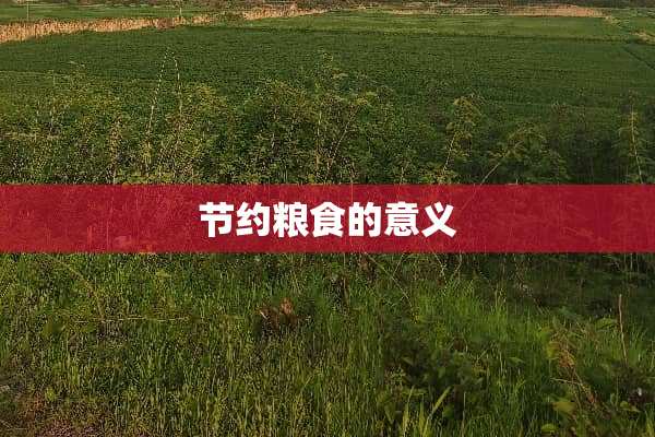 节约粮食的意义