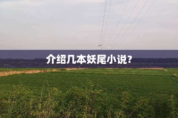 介绍几本妖尾小说？