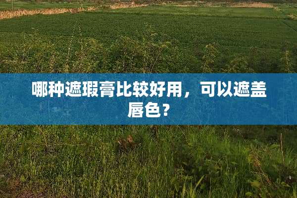 哪种遮瑕膏比较好用，可以遮盖唇色？