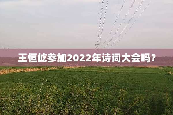 王恒屹参加2022年诗词大会吗？