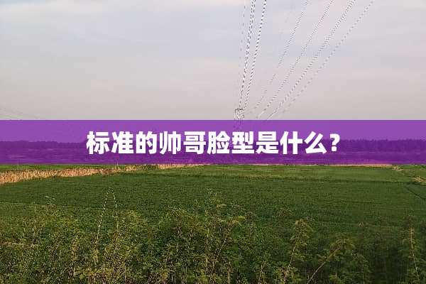 标准的帅哥脸型是什么？