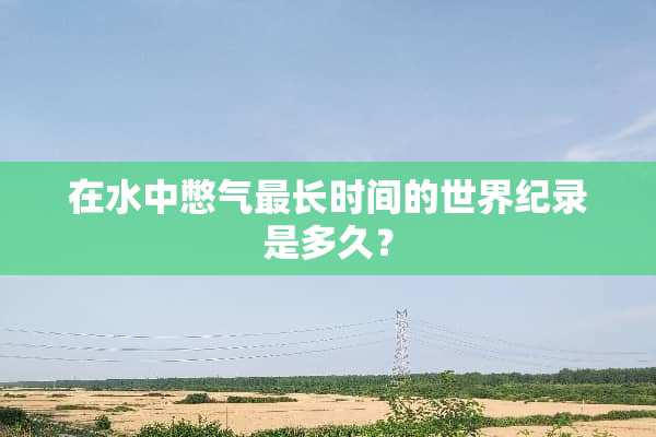 在水中憋气最长时间的世界纪录是多久？