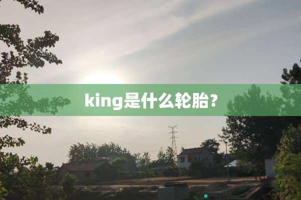 king是什么轮胎？