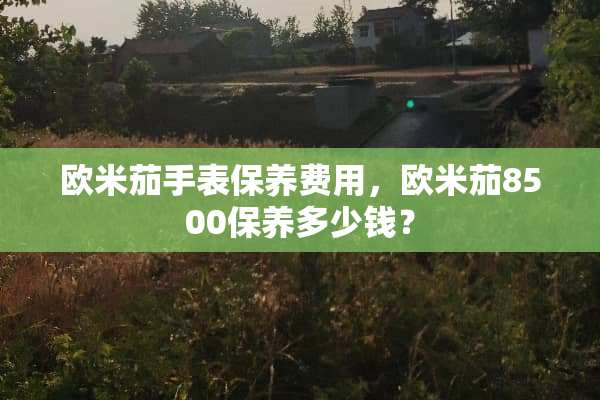 欧米茄手表保养费用，欧米茄8500保养多少钱？