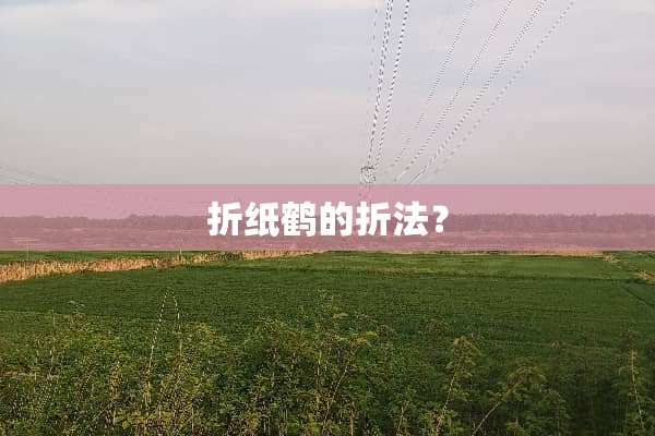 折纸鹤的折法？