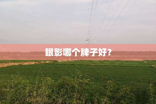 眼影哪个牌子好？