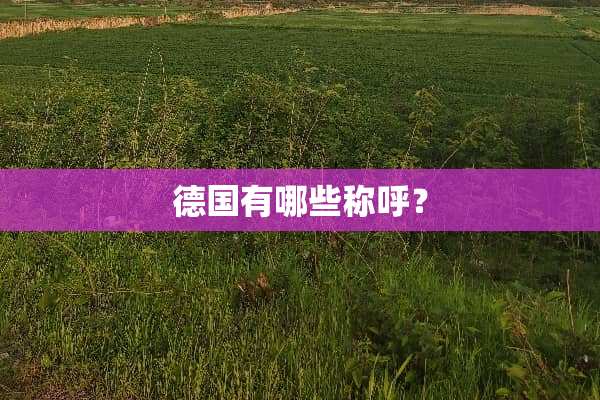 德国有哪些称呼？