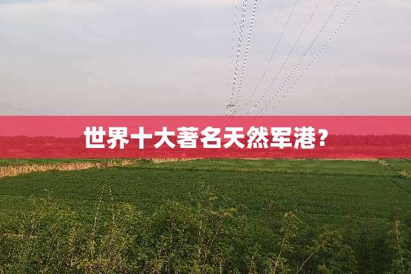 世界十大著名天然军港？