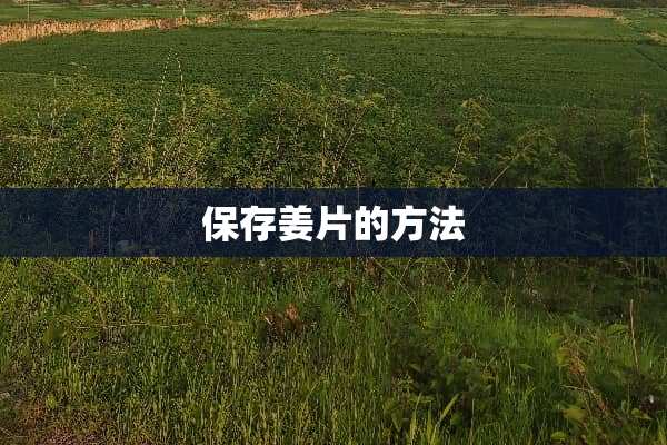 保存姜片的方法