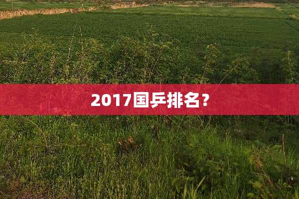 2017国乒排名？