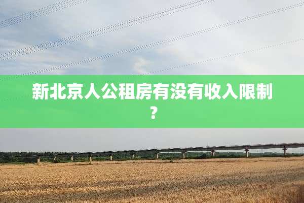 新北京人公租房有没有收入限制？