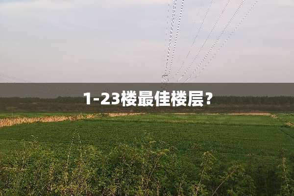1-23楼最佳楼层？