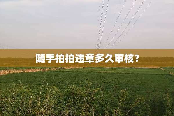 随手拍拍违章多久审核？