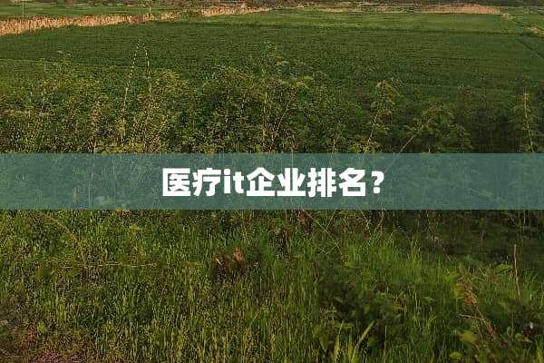 医疗it企业排名？