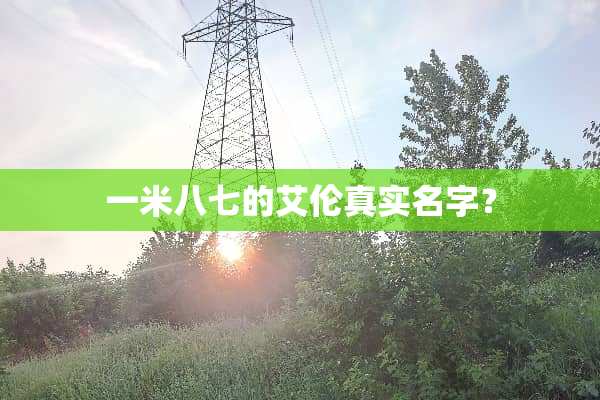 一米八七的艾伦真实名字？