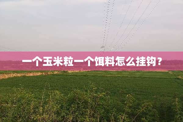 一个玉米粒一个饵料怎么挂钩？
