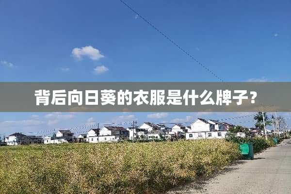 背后向日葵的衣服是什么牌子？