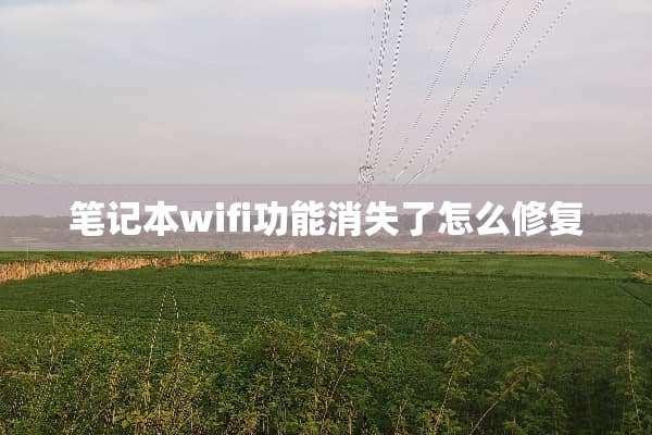 笔记本wifi功能消失了怎么修复