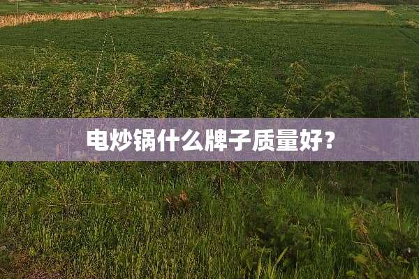 电炒锅什么牌子质量好？