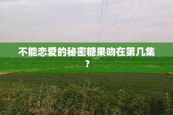 不能恋爱的秘密糖果吻在第几集？