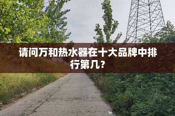 请问万和热水器在十大品牌中排行第几？