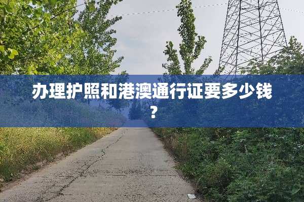 办理护照和港澳***要多少钱？