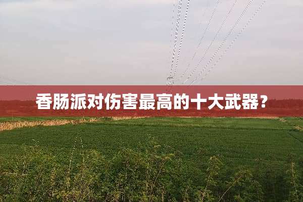 香肠派对伤害最高的十大**？