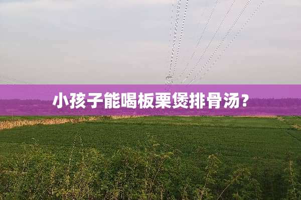 小孩子能喝板栗煲排骨汤？