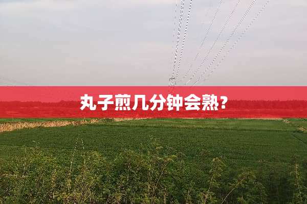 丸子煎几分钟会熟？