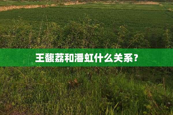 王馥荔和潘虹什么关系？
