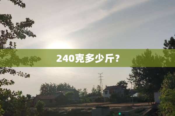 240克多少斤？