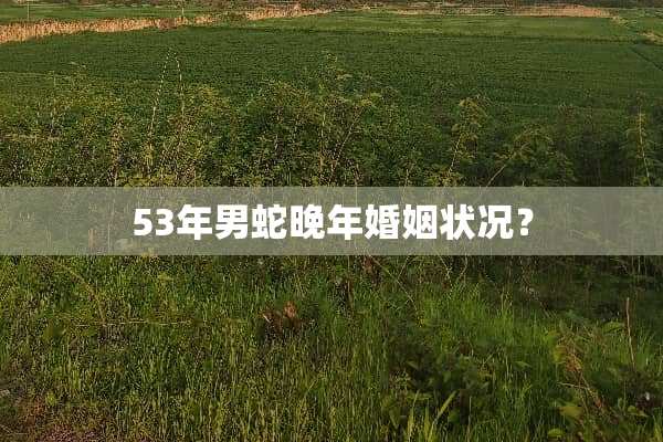 53年男蛇晚年婚姻状况？