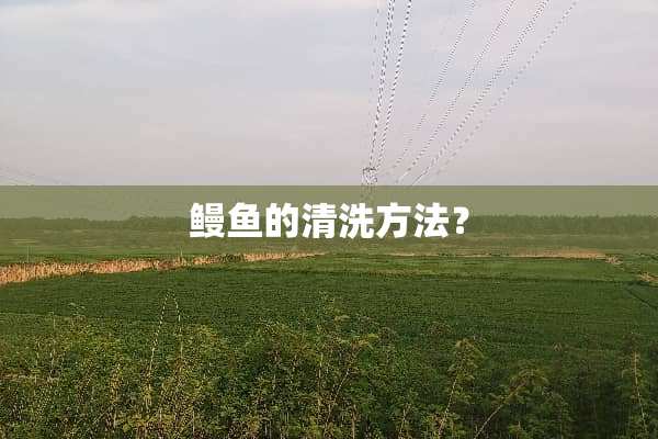 鳗鱼的清洗方法？