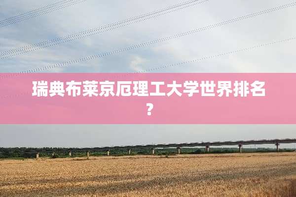 瑞典布莱京厄理工大学世界排名？